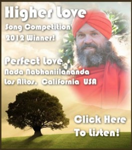 Higher Love Winner 2012