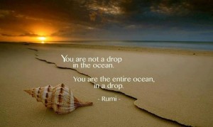 Ocean in a drop - Rumi