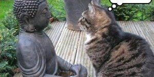 patience