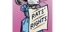 rats got rights